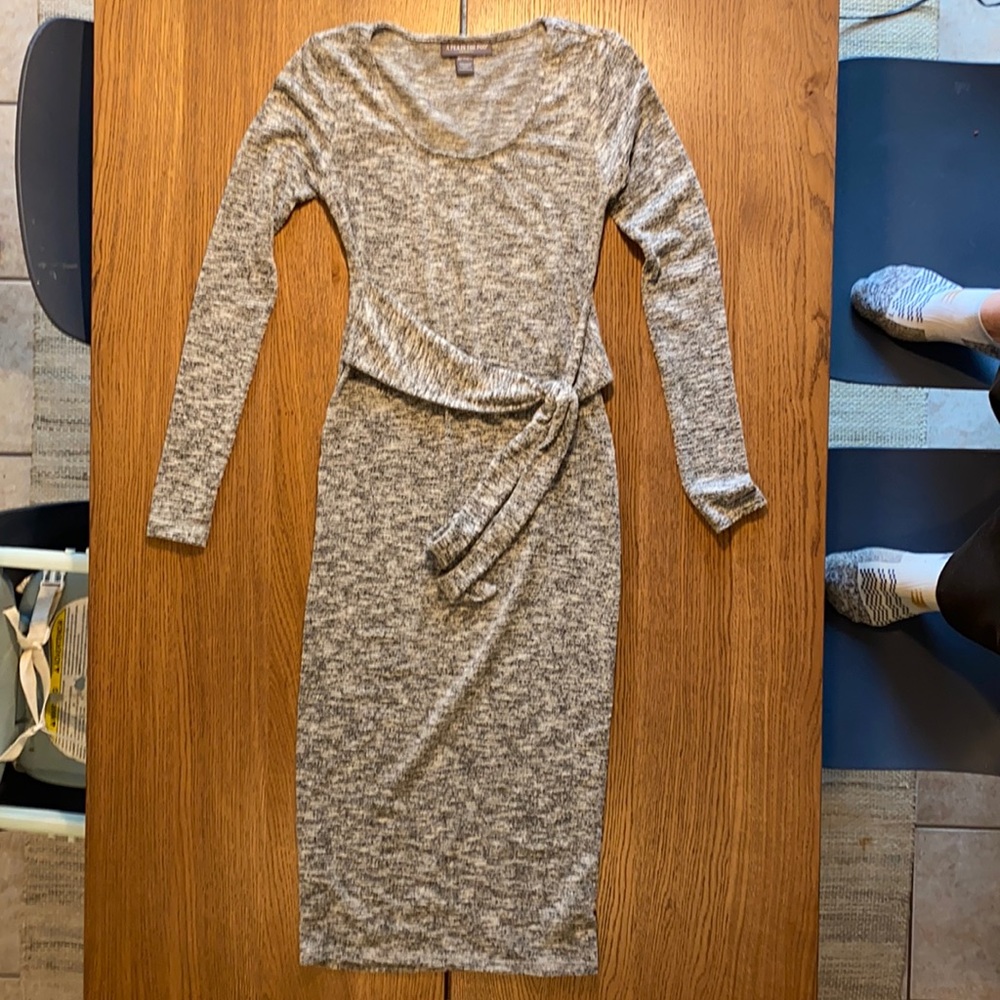 Pea in the pod maternity dress